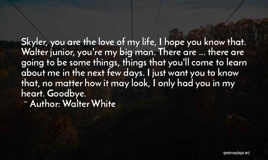 Walter White Quotes: Skyler, You Are The Love Of My Life, I Hope You Know That. Walter Junior, You're My Big Man. There