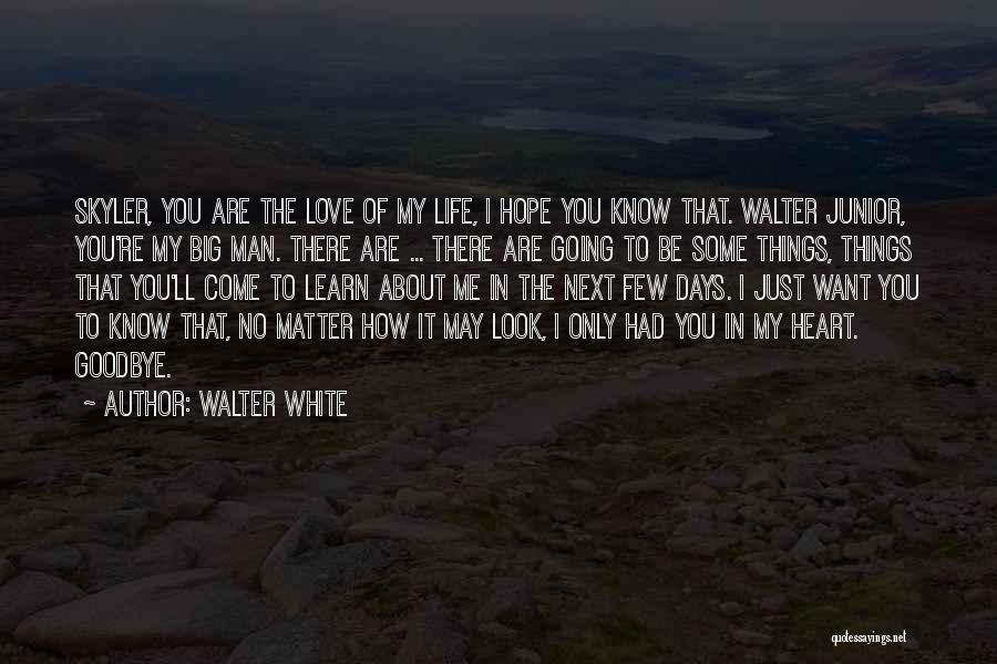 Walter White Quotes: Skyler, You Are The Love Of My Life, I Hope You Know That. Walter Junior, You're My Big Man. There