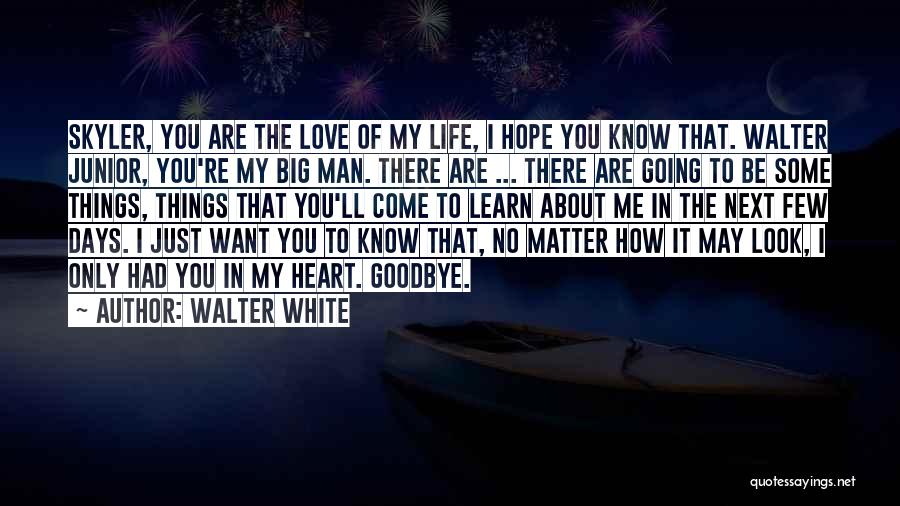 Walter White Quotes: Skyler, You Are The Love Of My Life, I Hope You Know That. Walter Junior, You're My Big Man. There