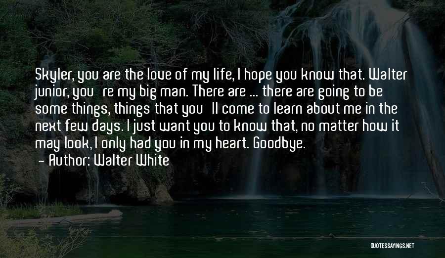 Walter White Quotes: Skyler, You Are The Love Of My Life, I Hope You Know That. Walter Junior, You're My Big Man. There