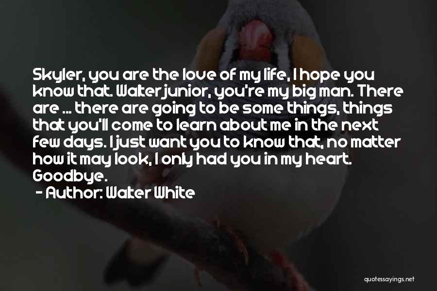 Walter White Quotes: Skyler, You Are The Love Of My Life, I Hope You Know That. Walter Junior, You're My Big Man. There