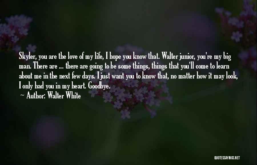 Walter White Quotes: Skyler, You Are The Love Of My Life, I Hope You Know That. Walter Junior, You're My Big Man. There