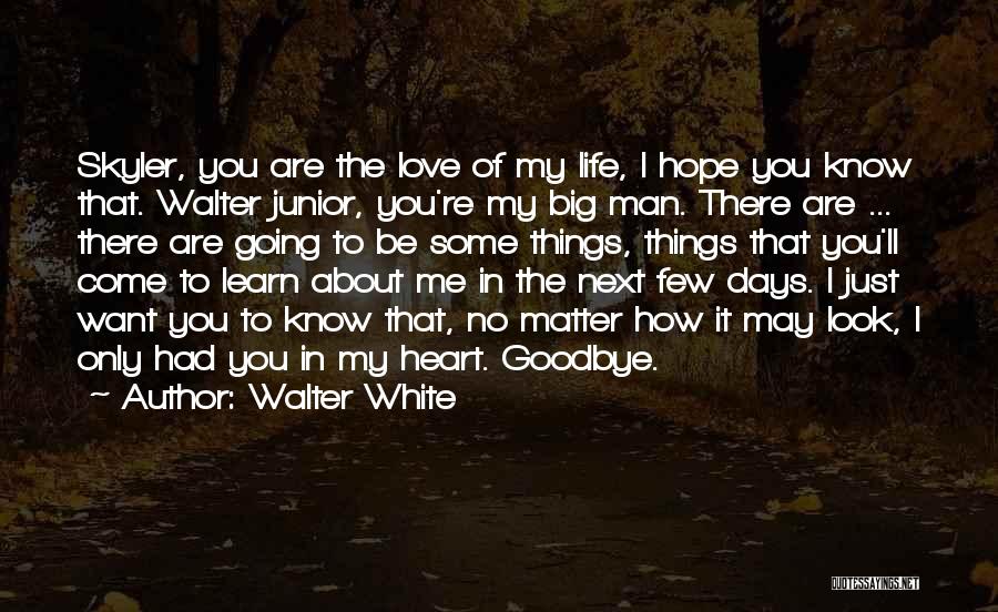 Walter White Quotes: Skyler, You Are The Love Of My Life, I Hope You Know That. Walter Junior, You're My Big Man. There