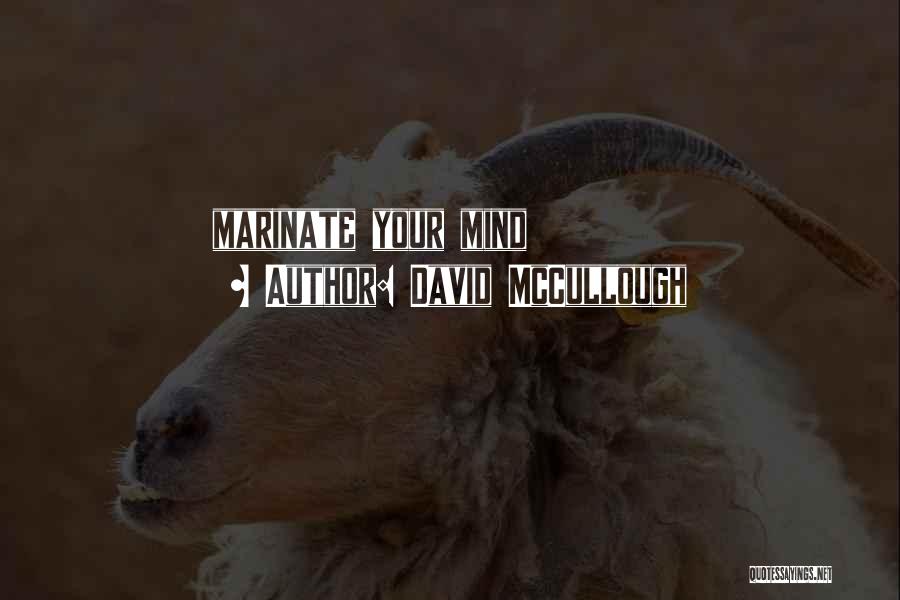 David McCullough Quotes: Marinate Your Mind