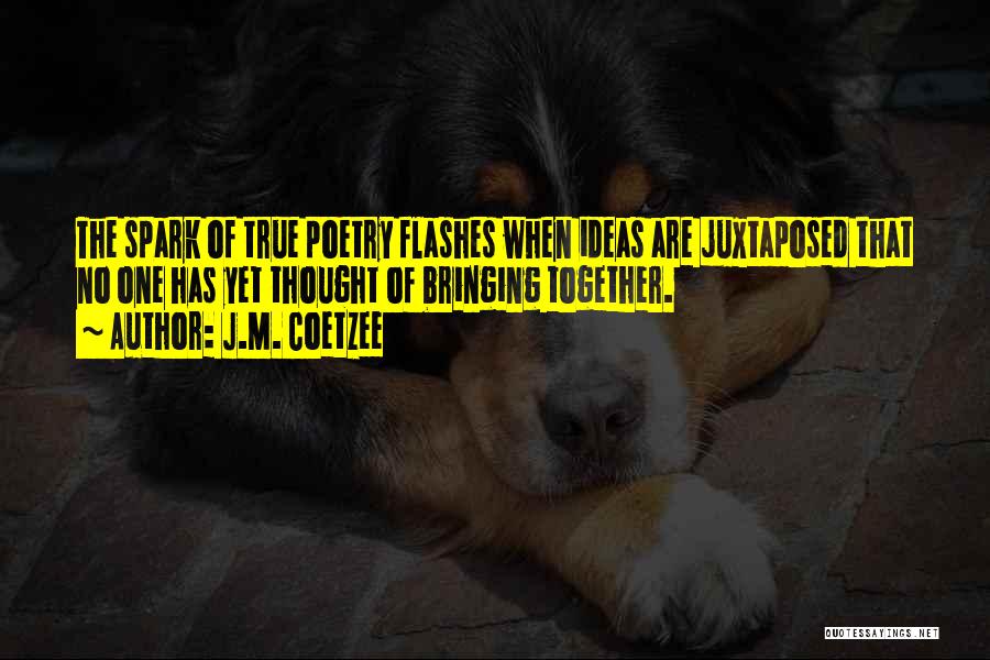 J.M. Coetzee Quotes: The Spark Of True Poetry Flashes When Ideas Are Juxtaposed That No One Has Yet Thought Of Bringing Together.