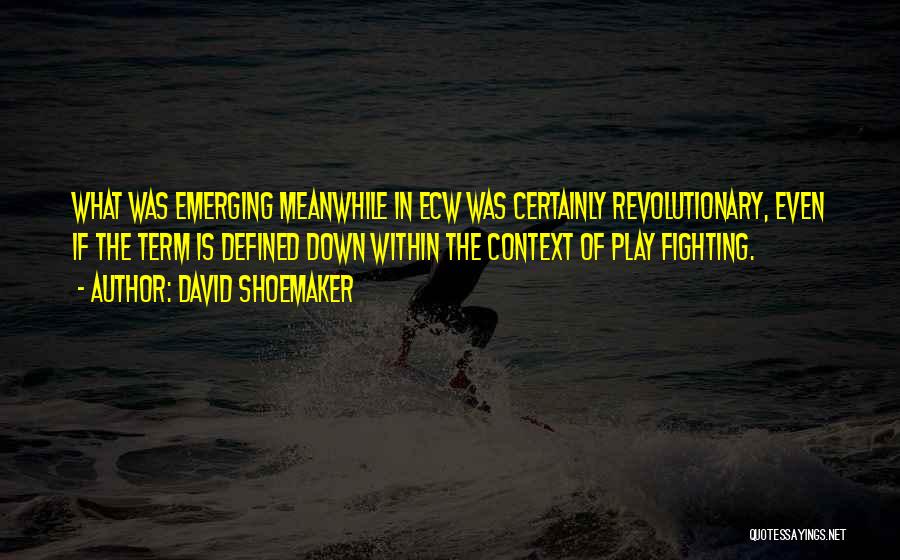 David Shoemaker Quotes: What Was Emerging Meanwhile In Ecw Was Certainly Revolutionary, Even If The Term Is Defined Down Within The Context Of