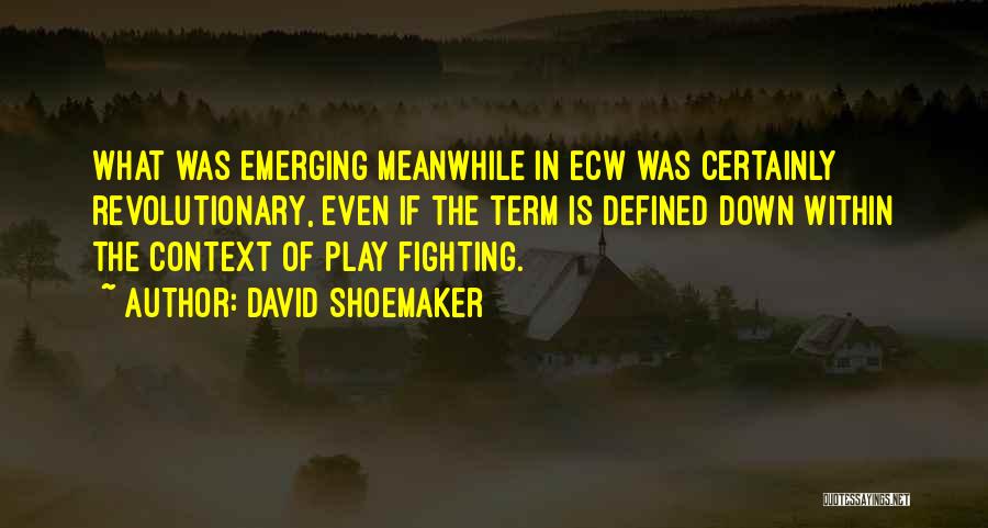 David Shoemaker Quotes: What Was Emerging Meanwhile In Ecw Was Certainly Revolutionary, Even If The Term Is Defined Down Within The Context Of