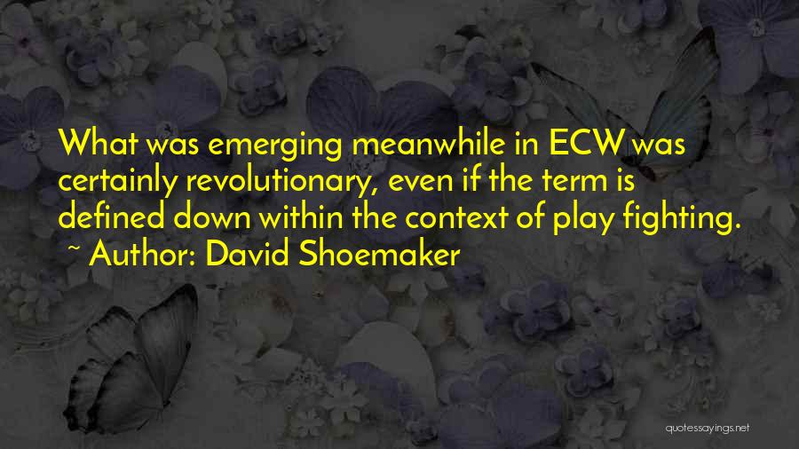 David Shoemaker Quotes: What Was Emerging Meanwhile In Ecw Was Certainly Revolutionary, Even If The Term Is Defined Down Within The Context Of