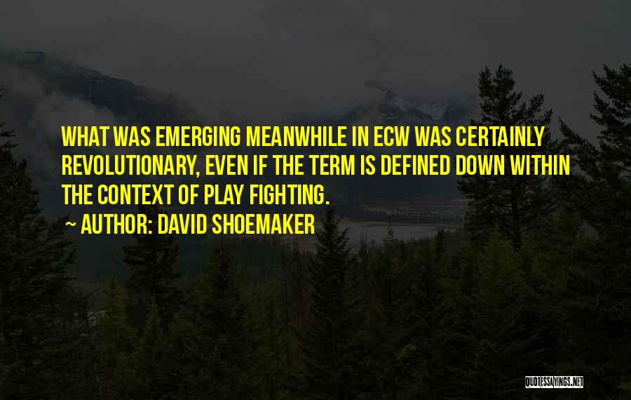 David Shoemaker Quotes: What Was Emerging Meanwhile In Ecw Was Certainly Revolutionary, Even If The Term Is Defined Down Within The Context Of