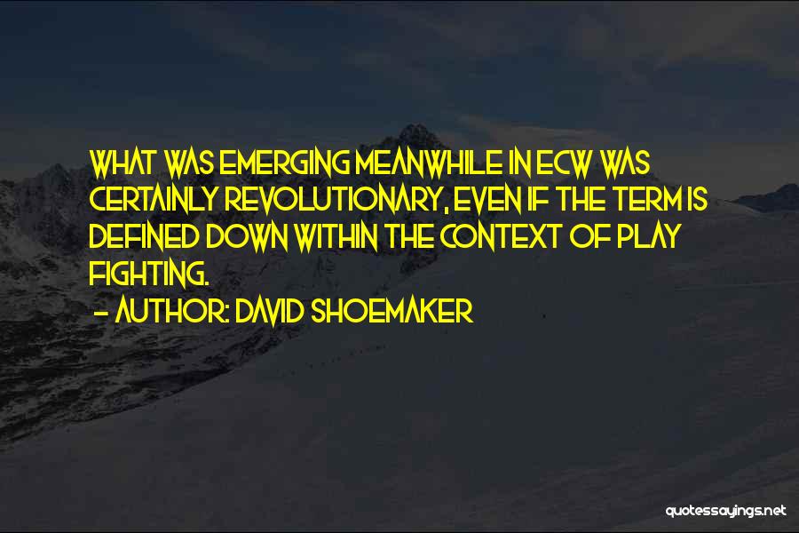 David Shoemaker Quotes: What Was Emerging Meanwhile In Ecw Was Certainly Revolutionary, Even If The Term Is Defined Down Within The Context Of