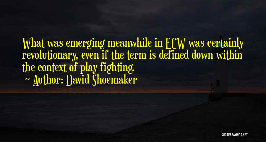 David Shoemaker Quotes: What Was Emerging Meanwhile In Ecw Was Certainly Revolutionary, Even If The Term Is Defined Down Within The Context Of