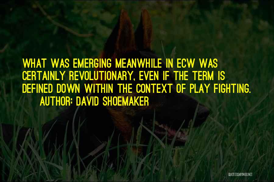 David Shoemaker Quotes: What Was Emerging Meanwhile In Ecw Was Certainly Revolutionary, Even If The Term Is Defined Down Within The Context Of