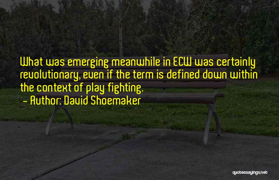 David Shoemaker Quotes: What Was Emerging Meanwhile In Ecw Was Certainly Revolutionary, Even If The Term Is Defined Down Within The Context Of