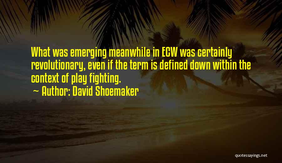 David Shoemaker Quotes: What Was Emerging Meanwhile In Ecw Was Certainly Revolutionary, Even If The Term Is Defined Down Within The Context Of