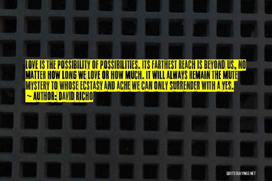 David Richo Quotes: Love Is The Possibility Of Possibilities. Its Farthest Reach Is Beyond Us, No Matter How Long We Love Or How