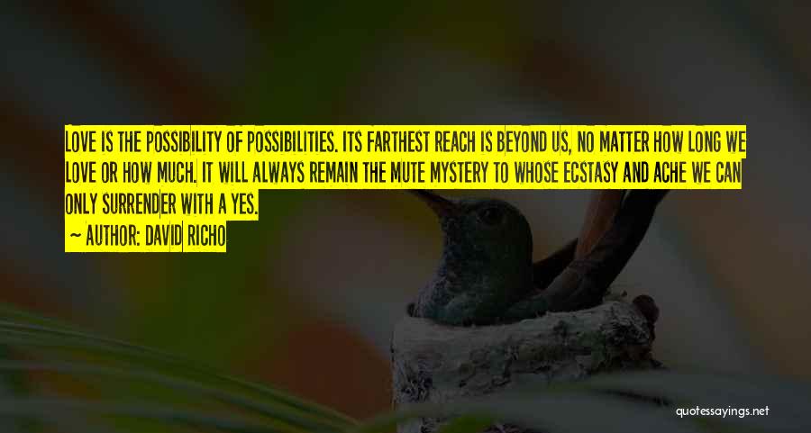 David Richo Quotes: Love Is The Possibility Of Possibilities. Its Farthest Reach Is Beyond Us, No Matter How Long We Love Or How