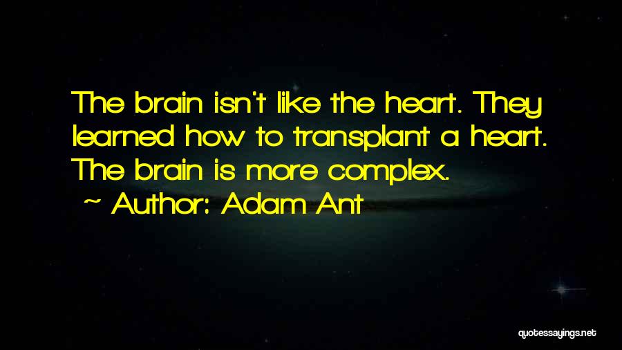 Adam Ant Quotes: The Brain Isn't Like The Heart. They Learned How To Transplant A Heart. The Brain Is More Complex.