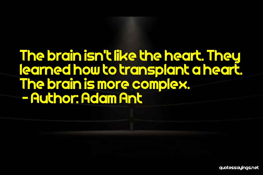 Adam Ant Quotes: The Brain Isn't Like The Heart. They Learned How To Transplant A Heart. The Brain Is More Complex.