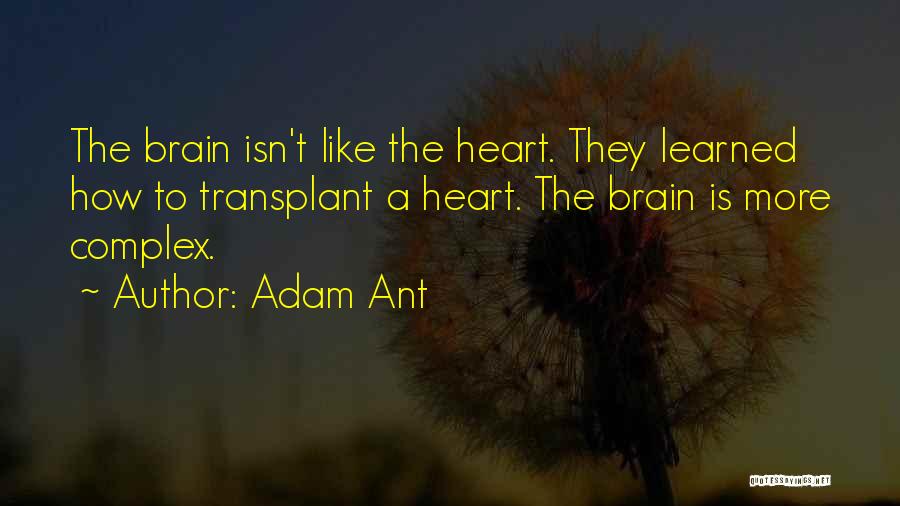 Adam Ant Quotes: The Brain Isn't Like The Heart. They Learned How To Transplant A Heart. The Brain Is More Complex.