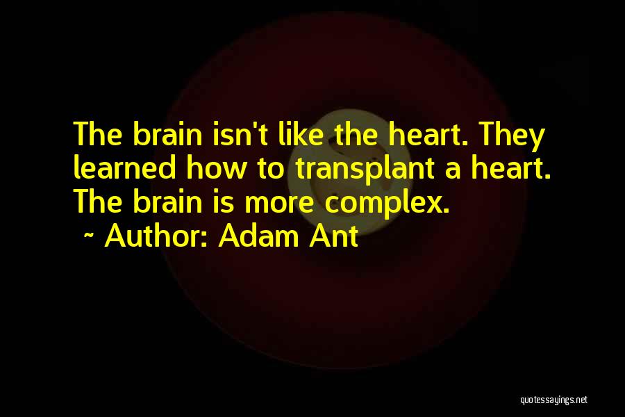 Adam Ant Quotes: The Brain Isn't Like The Heart. They Learned How To Transplant A Heart. The Brain Is More Complex.
