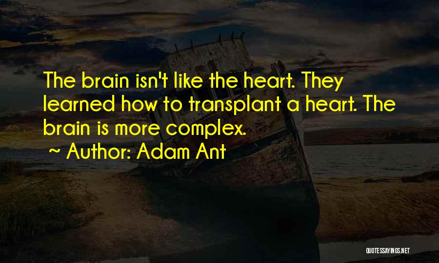 Adam Ant Quotes: The Brain Isn't Like The Heart. They Learned How To Transplant A Heart. The Brain Is More Complex.