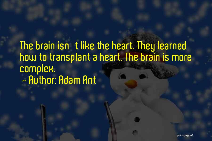 Adam Ant Quotes: The Brain Isn't Like The Heart. They Learned How To Transplant A Heart. The Brain Is More Complex.