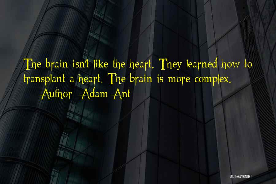 Adam Ant Quotes: The Brain Isn't Like The Heart. They Learned How To Transplant A Heart. The Brain Is More Complex.