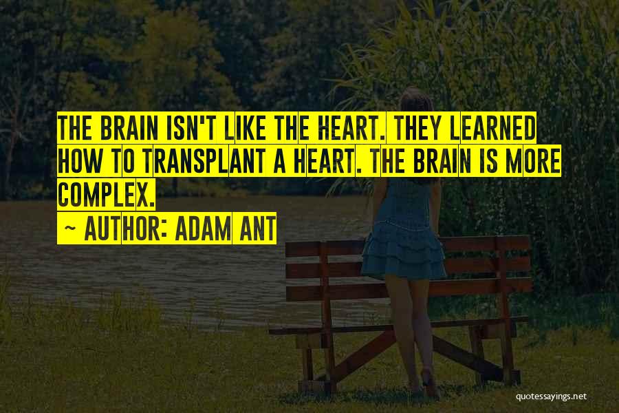 Adam Ant Quotes: The Brain Isn't Like The Heart. They Learned How To Transplant A Heart. The Brain Is More Complex.