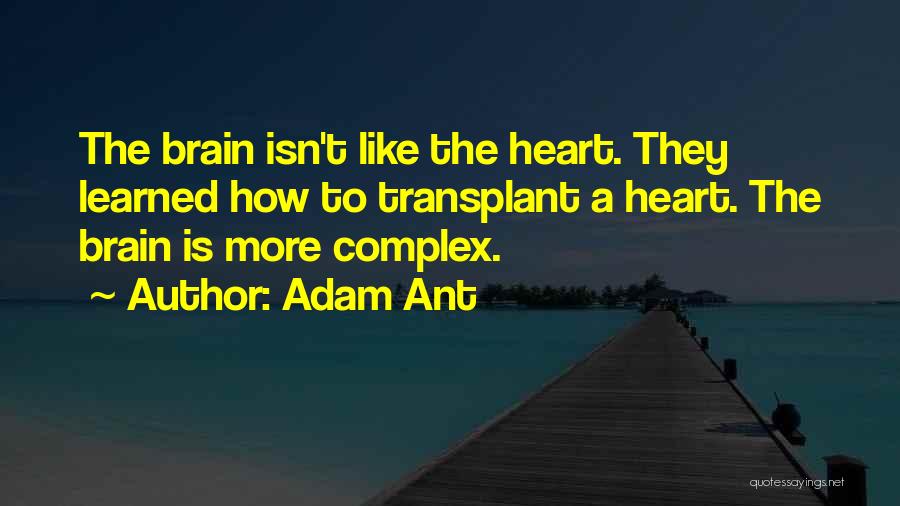 Adam Ant Quotes: The Brain Isn't Like The Heart. They Learned How To Transplant A Heart. The Brain Is More Complex.
