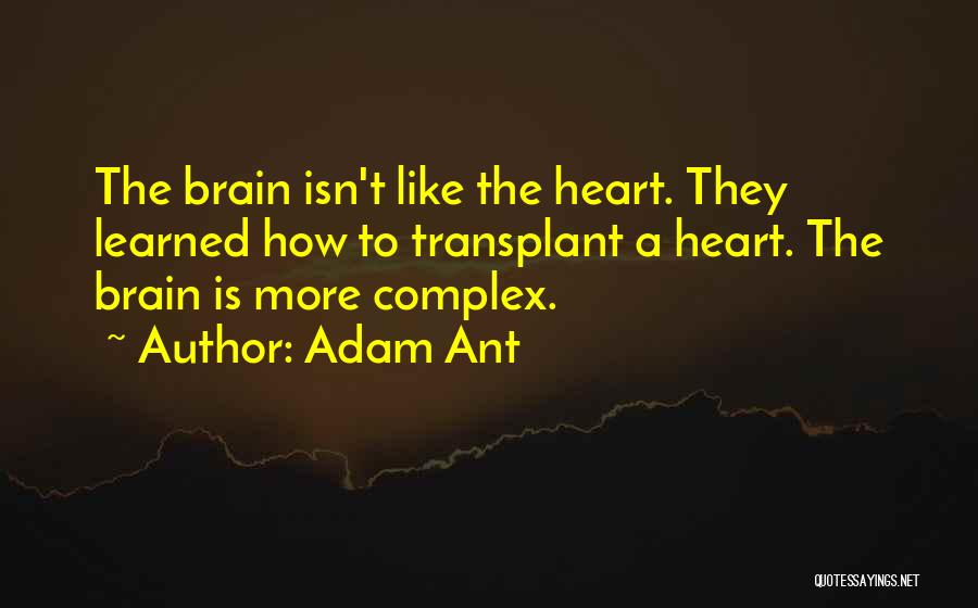 Adam Ant Quotes: The Brain Isn't Like The Heart. They Learned How To Transplant A Heart. The Brain Is More Complex.