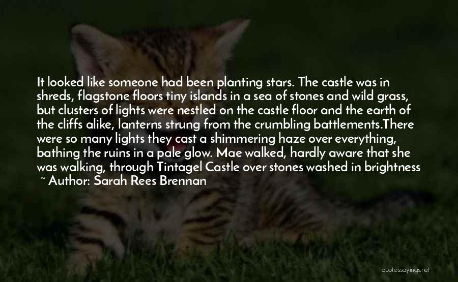 Sarah Rees Brennan Quotes: It Looked Like Someone Had Been Planting Stars. The Castle Was In Shreds, Flagstone Floors Tiny Islands In A Sea