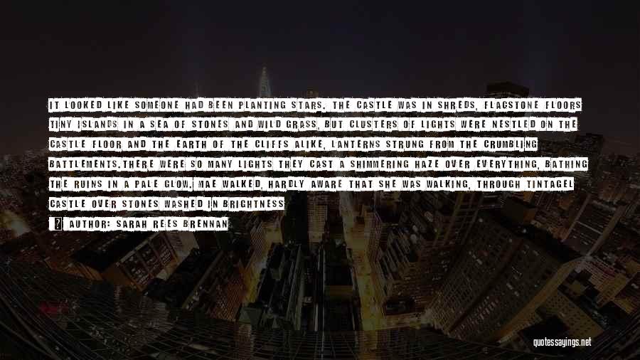 Sarah Rees Brennan Quotes: It Looked Like Someone Had Been Planting Stars. The Castle Was In Shreds, Flagstone Floors Tiny Islands In A Sea