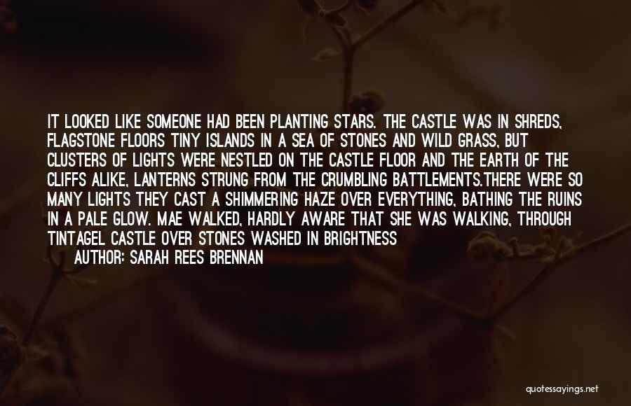 Sarah Rees Brennan Quotes: It Looked Like Someone Had Been Planting Stars. The Castle Was In Shreds, Flagstone Floors Tiny Islands In A Sea