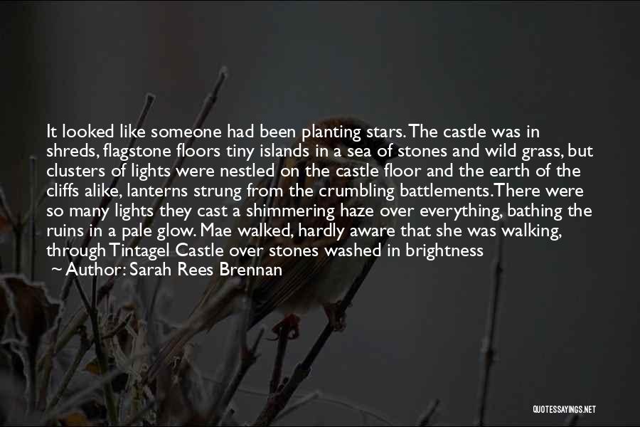 Sarah Rees Brennan Quotes: It Looked Like Someone Had Been Planting Stars. The Castle Was In Shreds, Flagstone Floors Tiny Islands In A Sea