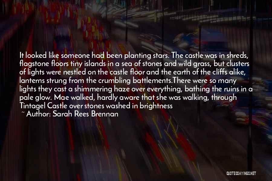 Sarah Rees Brennan Quotes: It Looked Like Someone Had Been Planting Stars. The Castle Was In Shreds, Flagstone Floors Tiny Islands In A Sea