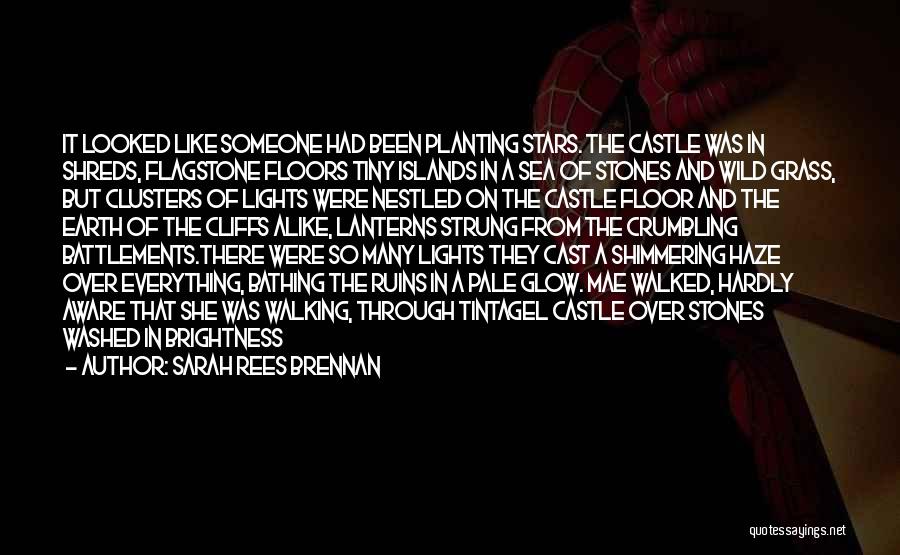 Sarah Rees Brennan Quotes: It Looked Like Someone Had Been Planting Stars. The Castle Was In Shreds, Flagstone Floors Tiny Islands In A Sea