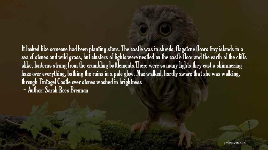 Sarah Rees Brennan Quotes: It Looked Like Someone Had Been Planting Stars. The Castle Was In Shreds, Flagstone Floors Tiny Islands In A Sea