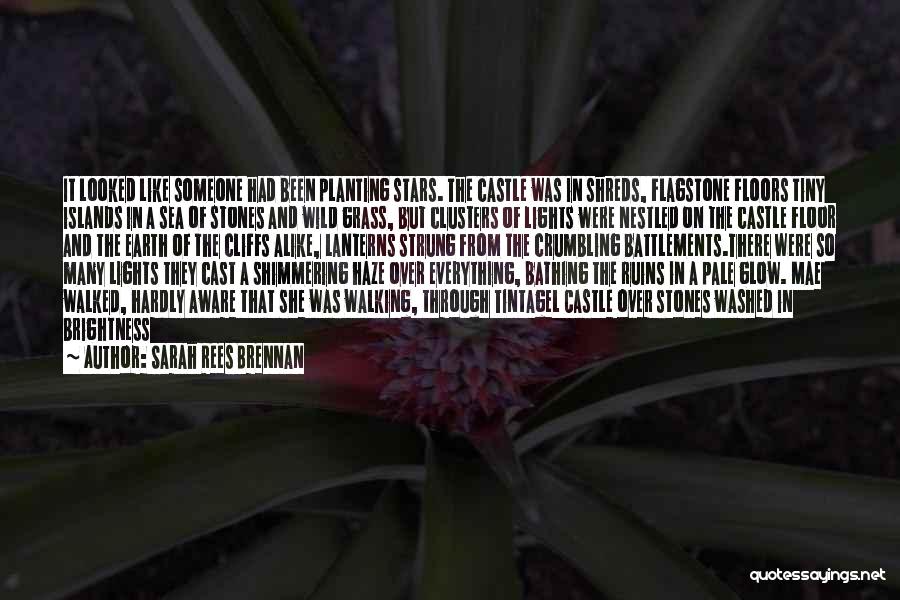 Sarah Rees Brennan Quotes: It Looked Like Someone Had Been Planting Stars. The Castle Was In Shreds, Flagstone Floors Tiny Islands In A Sea