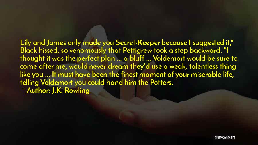 J.K. Rowling Quotes: Lily And James Only Made You Secret-keeper Because I Suggested It, Black Hissed, So Venomously That Pettigrew Took A Step