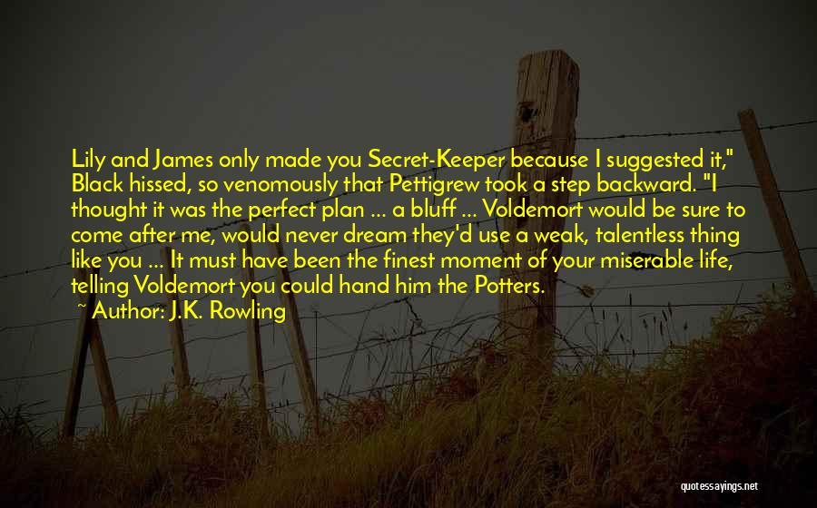 J.K. Rowling Quotes: Lily And James Only Made You Secret-keeper Because I Suggested It, Black Hissed, So Venomously That Pettigrew Took A Step