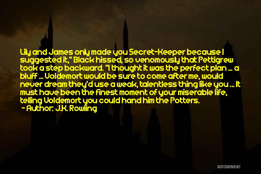 J.K. Rowling Quotes: Lily And James Only Made You Secret-keeper Because I Suggested It, Black Hissed, So Venomously That Pettigrew Took A Step