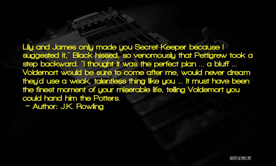 J.K. Rowling Quotes: Lily And James Only Made You Secret-keeper Because I Suggested It, Black Hissed, So Venomously That Pettigrew Took A Step