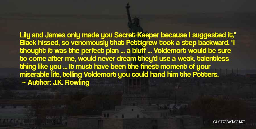 J.K. Rowling Quotes: Lily And James Only Made You Secret-keeper Because I Suggested It, Black Hissed, So Venomously That Pettigrew Took A Step