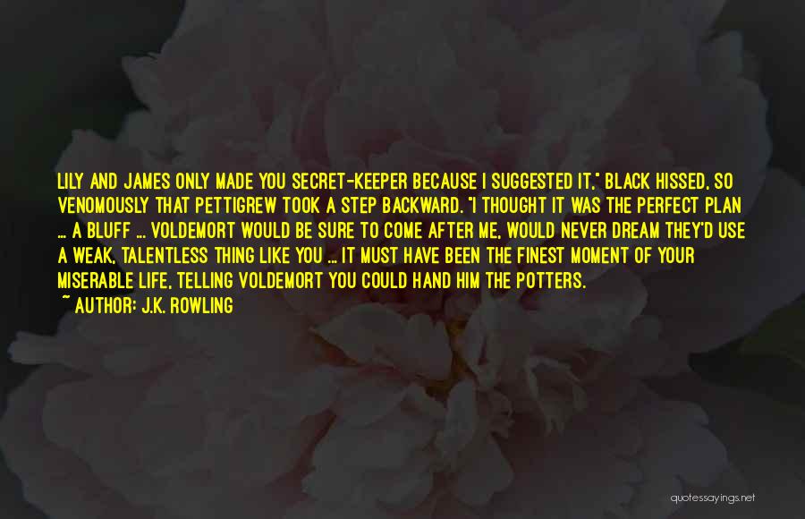 J.K. Rowling Quotes: Lily And James Only Made You Secret-keeper Because I Suggested It, Black Hissed, So Venomously That Pettigrew Took A Step