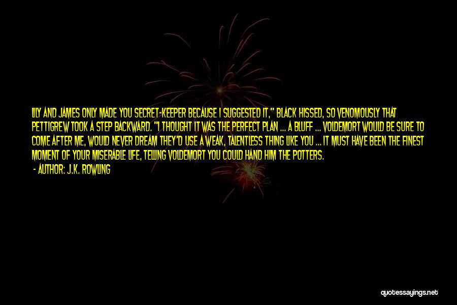 J.K. Rowling Quotes: Lily And James Only Made You Secret-keeper Because I Suggested It, Black Hissed, So Venomously That Pettigrew Took A Step