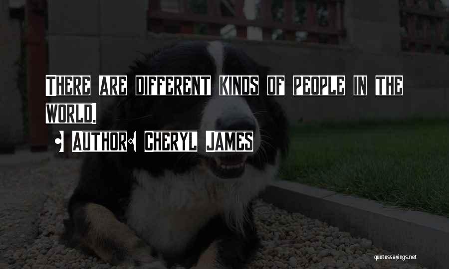 Cheryl James Quotes: There Are Different Kinds Of People In The World.