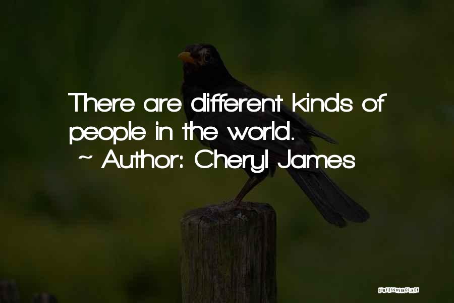 Cheryl James Quotes: There Are Different Kinds Of People In The World.
