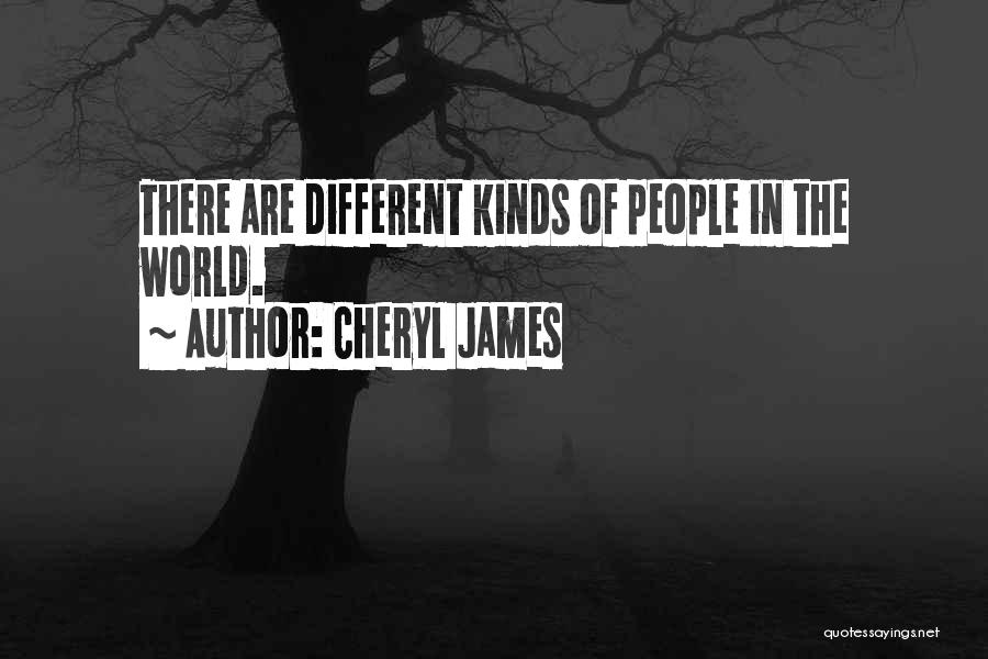 Cheryl James Quotes: There Are Different Kinds Of People In The World.