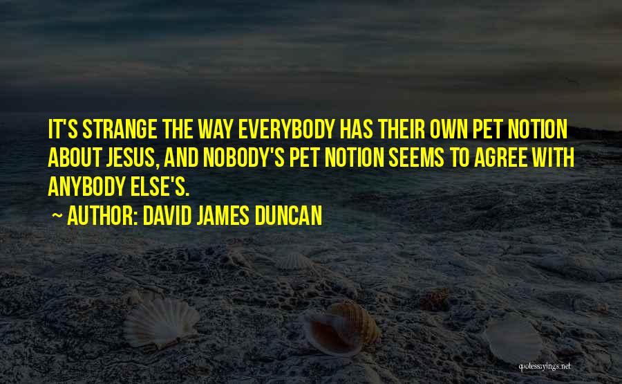 David James Duncan Quotes: It's Strange The Way Everybody Has Their Own Pet Notion About Jesus, And Nobody's Pet Notion Seems To Agree With