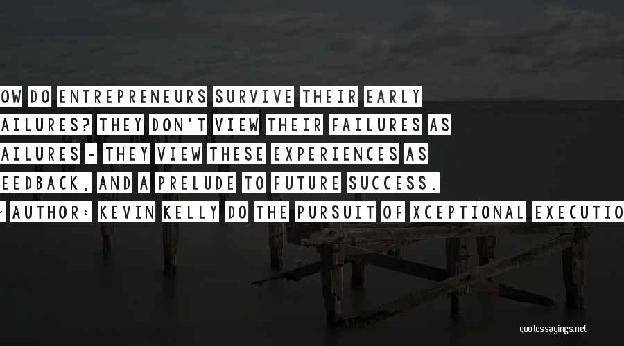 Kevin Kelly DO The Pursuit Of Xceptional Execution Quotes: How Do Entrepreneurs Survive Their Early Failures? They Don't View Their Failures As Failures - They View These Experiences As